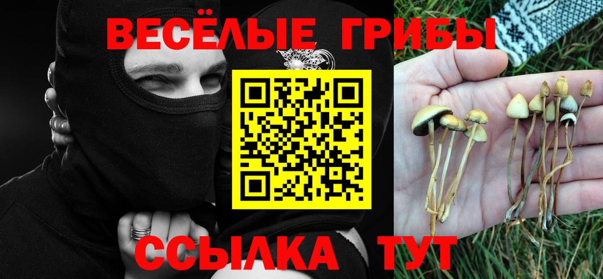 Галлюциногенные грибы MAGIC MUSHROOMS Старая Купавна